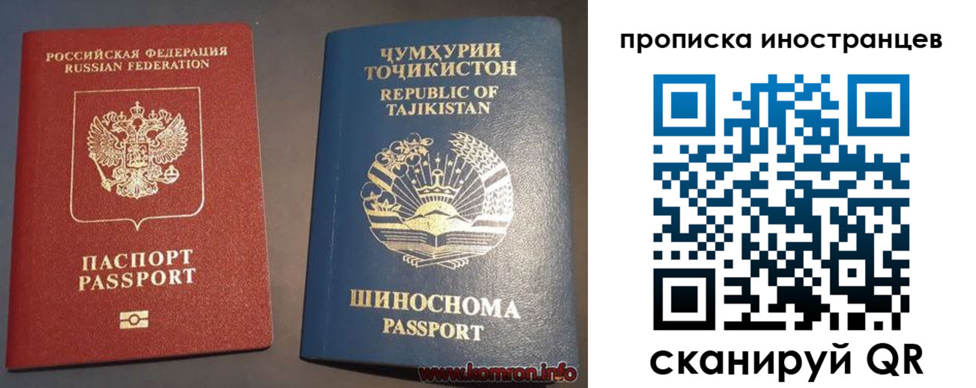 прописка поиск в Сафоново